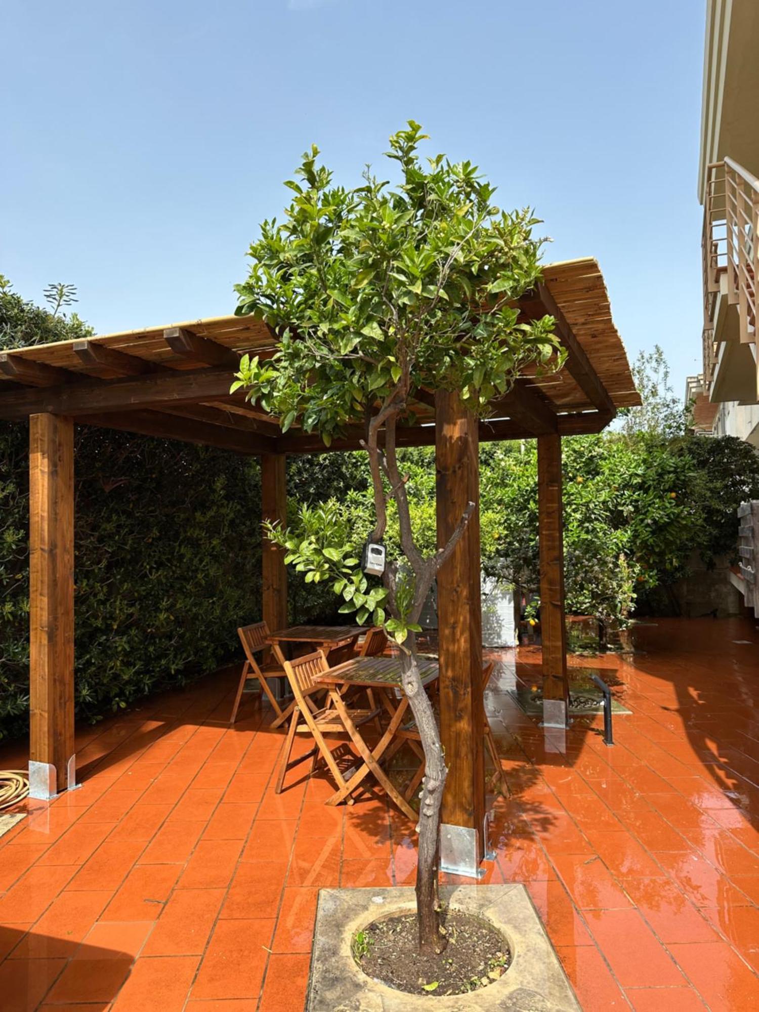 Benazar House *